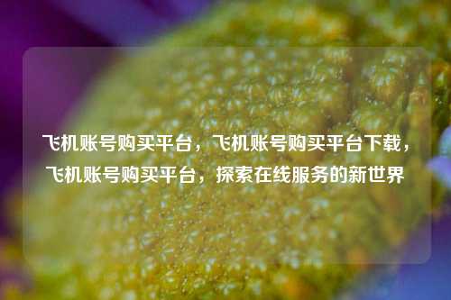 飞机账号购买平台，飞机账号购买平台下载，飞机账号购买平台，探索在线服务的新世界