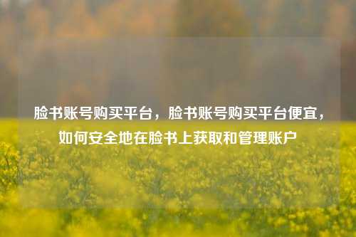 脸书账号购买平台，脸书账号购买平台便宜，如何安全地在脸书上获取和管理账户