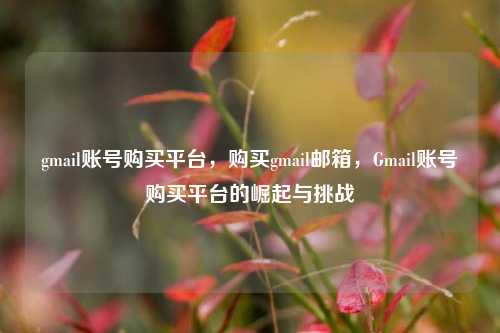 gmail账号购买平台，购买gmail邮箱，Gmail账号购买平台的崛起与挑战