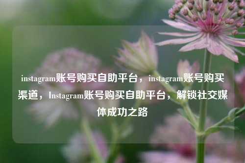 instagram账号购买自助平台，instagram账号购买渠道，Instagram账号购买自助平台，解锁社交媒体成功之路