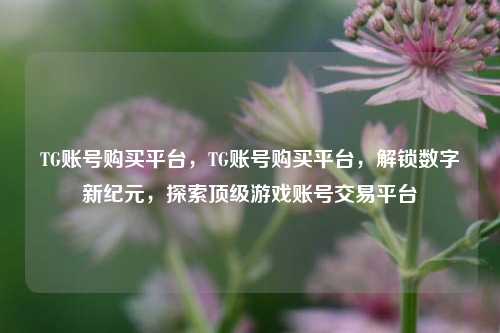 TG账号购买平台，TG账号购买平台，解锁数字新纪元，探索顶级游戏账号交易平台
