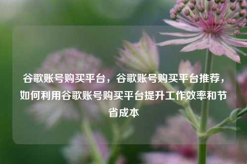 谷歌账号购买平台，谷歌账号购买平台推荐，如何利用谷歌账号购买平台提升工作效率和节省成本