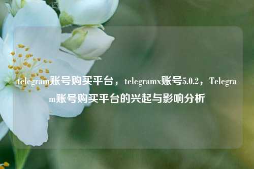 telegram账号购买平台，telegramx账号5.0.2，Telegram账号购买平台的兴起与影响分析
