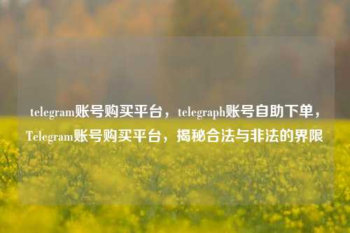 telegram账号购买平台，telegraph账号自助下单，Telegram账号购买平台，揭秘合法与非法的界限