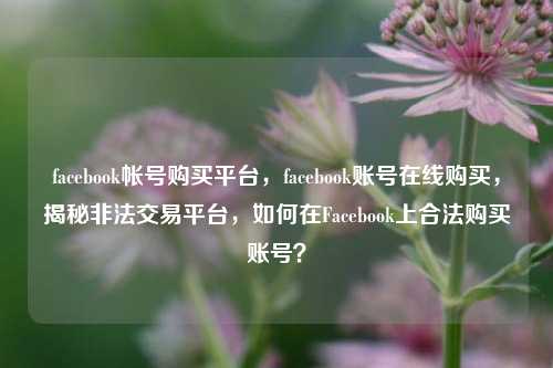 facebook帐号购买平台，facebook账号在线购买，揭秘非法交易平台，如何在Facebook上合法购买账号？