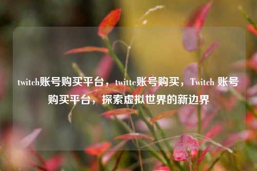 twitch账号购买平台，twitte账号购买，Twitch 账号购买平台，探索虚拟世界的新边界
