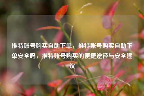推特账号购买自助下单，推特账号购买自助下单安全吗，推特账号购买的便捷途径与安全建议