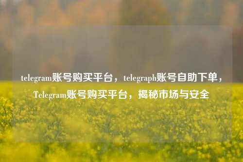 telegram账号购买平台，telegraph账号自助下单，Telegram账号购买平台，揭秘市场与安全