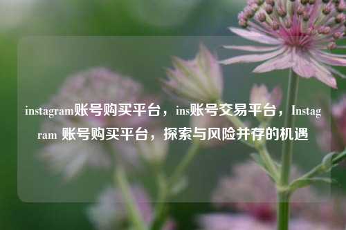 instagram账号购买平台，ins账号交易平台，Instagram 账号购买平台，探索与风险并存的机遇