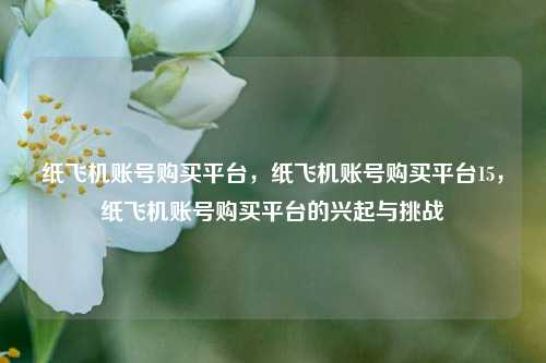 纸飞机账号购买平台，纸飞机账号购买平台15，纸飞机账号购买平台的兴起与挑战  第1张