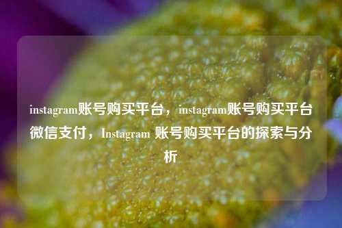 instagram账号购买平台，instagram账号购买平台微信支付，Instagram 账号购买平台的探索与分析