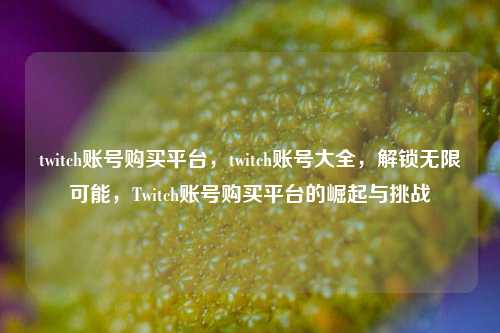 twitch账号购买平台，twitch账号大全，解锁无限可能，Twitch账号购买平台的崛起与挑战