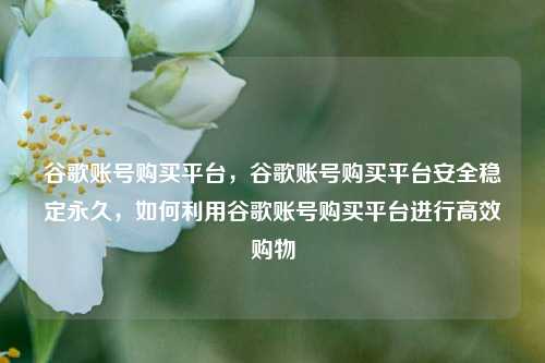 谷歌账号购买平台，谷歌账号购买平台安全稳定永久，如何利用谷歌账号购买平台进行高效购物