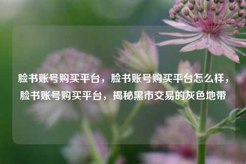 脸书账号购买平台，脸书账号购买平台怎么样，脸书账号购买平台，揭秘黑市交易的灰色地带