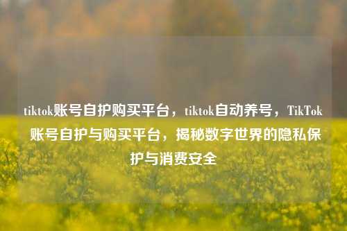 tiktok账号自护购买平台，tiktok自动养号，TikTok 账号自护与购买平台，揭秘数字世界的隐私保护与消费安全