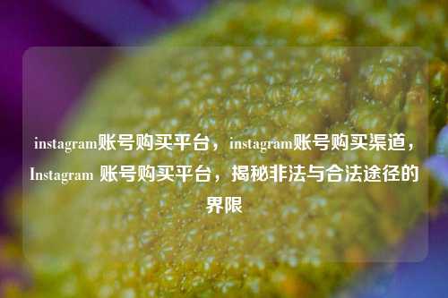 instagram账号购买平台，instagram账号购买渠道，Instagram 账号购买平台，揭秘非法与合法途径的界限