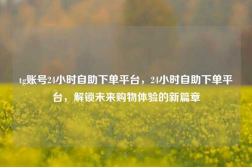 tg账号24小时自助下单平台，24小时自助下单平台，解锁未来购物体验的新篇章
