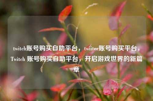 twitch账号购买自助平台，twiiter账号购买平台，Twitch 账号购买自助平台，开启游戏世界的新篇章