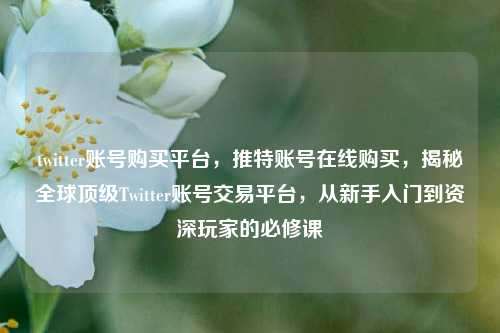 twitter账号购买平台，推特账号在线购买，揭秘全球顶级Twitter账号交易平台，从新手入门到资深玩家的必修课