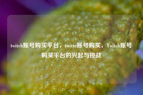 twitch账号购买平台，twitte账号购买，Twitch账号购买平台的兴起与挑战