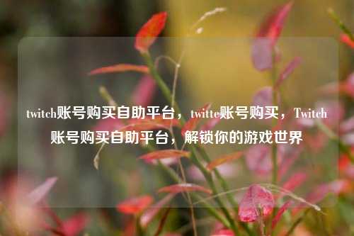 twitch账号购买自助平台，twitte账号购买，Twitch账号购买自助平台，解锁你的游戏世界