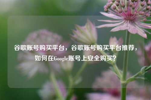 谷歌账号购买平台，谷歌账号购买平台推荐，如何在Google账号上安全购买？