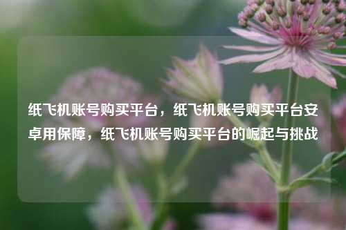 纸飞机账号购买平台，纸飞机账号购买平台安卓用保障，纸飞机账号购买平台的崛起与挑战