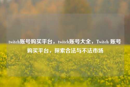 twitch账号购买平台，twitch账号大全，Twitch 账号购买平台，探索合法与不法市场