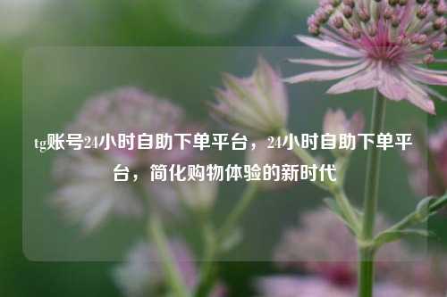 tg账号24小时自助下单平台，24小时自助下单平台，简化购物体验的新时代