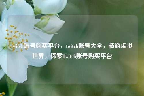 twitch账号购买平台，twitch账号大全，畅游虚拟世界，探索Twitch账号购买平台
