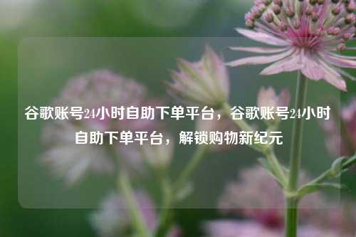 谷歌账号24小时自助下单平台，谷歌账号24小时自助下单平台	，解锁购物新纪元  第1张