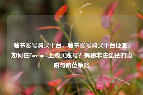 脸书账号购买平台，脸书账号购买平台便宜，如何在Facebook上购买账号？揭秘非法途径的陷阱与防范策略