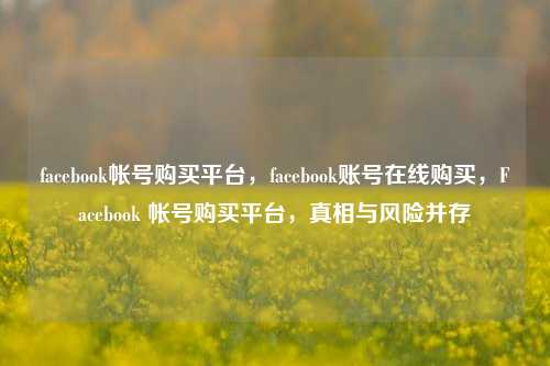facebook帐号购买平台，facebook账号在线购买，Facebook 帐号购买平台，真相与风险并存