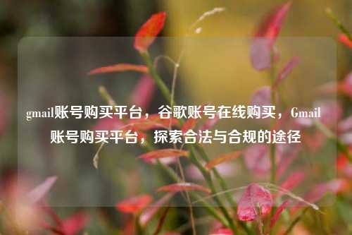 gmail账号购买平台，谷歌账号在线购买，Gmail 账号购买平台，探索合法与合规的途径