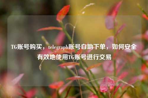 TG账号购买，telegraph账号自助下单，如何安全有效地使用TG账号进行交易
