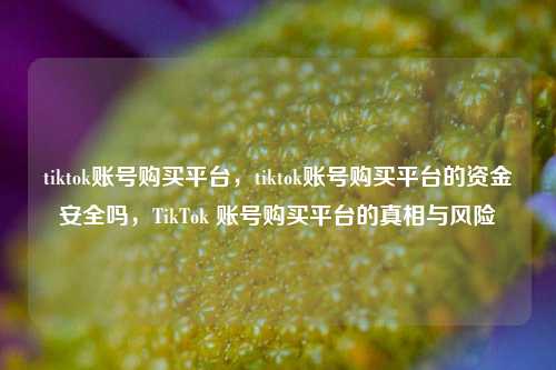 tiktok账号购买平台，tiktok账号购买平台的资金安全吗，TikTok 账号购买平台的真相与风险