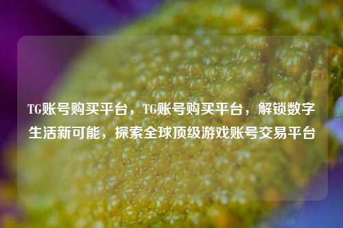 TG账号购买平台，TG账号购买平台，解锁数字生活新可能，探索全球顶级游戏账号交易平台