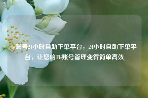 tg账号24小时自助下单平台，24小时自助下单平台，让您的TG账号管理变得简单高效