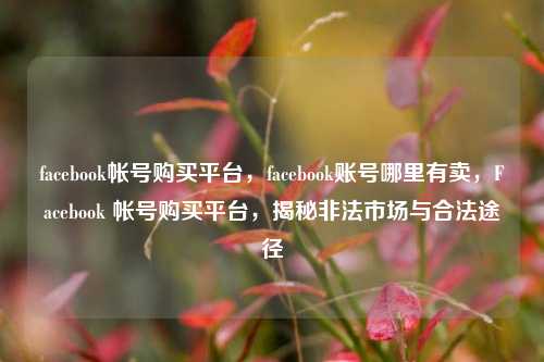 facebook帐号购买平台，facebook账号哪里有卖，Facebook 帐号购买平台，揭秘非法市场与合法途径