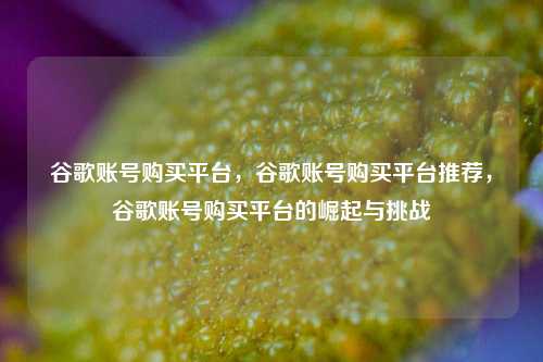 谷歌账号购买平台，谷歌账号购买平台推荐，谷歌账号购买平台的崛起与挑战