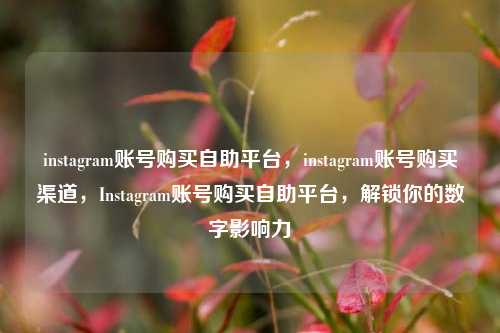 instagram账号购买自助平台，instagram账号购买渠道，Instagram账号购买自助平台	，解锁你的数字影响力  第1张