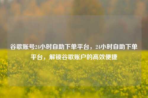 谷歌账号24小时自助下单平台，24小时自助下单平台，解锁谷歌账户的高效便捷