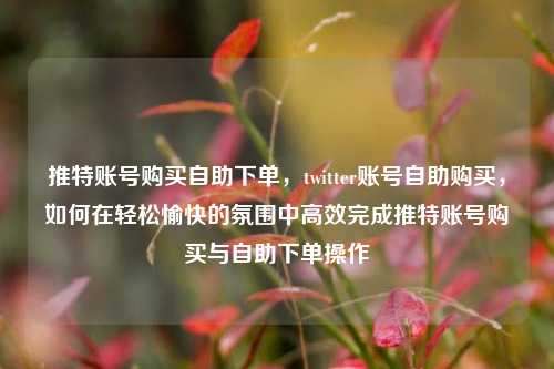 推特账号购买自助下单，twitter账号自助购买，如何在轻松愉快的氛围中高效完成推特账号购买与自助下单操作