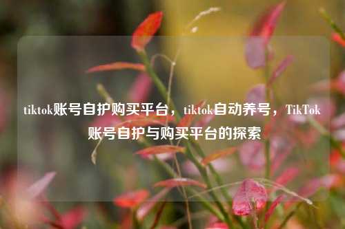 tiktok账号自护购买平台，tiktok自动养号，TikTok 账号自护与购买平台的探索