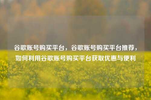 谷歌账号购买平台，谷歌账号购买平台推荐，如何利用谷歌账号购买平台获取优惠与便利