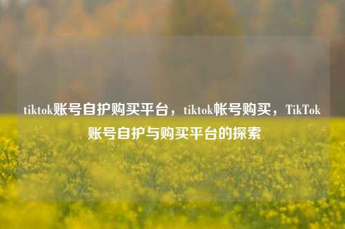 tiktok账号自护购买平台，tiktok帐号购买，TikTok 账号自护与购买平台的探索