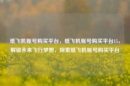 纸飞机账号购买平台，纸飞机账号购买平台15，解锁未来飞行梦想，探索纸飞机账号购买平台