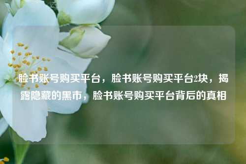 脸书账号购买平台，脸书账号购买平台2块，揭露隐藏的黑市，脸书账号购买平台背后的真相