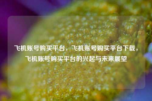 飞机账号购买平台，飞机账号购买平台下载，飞机账号购买平台的兴起与未来展望