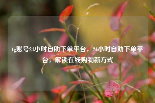 tg账号24小时自助下单平台，24小时自助下单平台，解锁在线购物新方式
